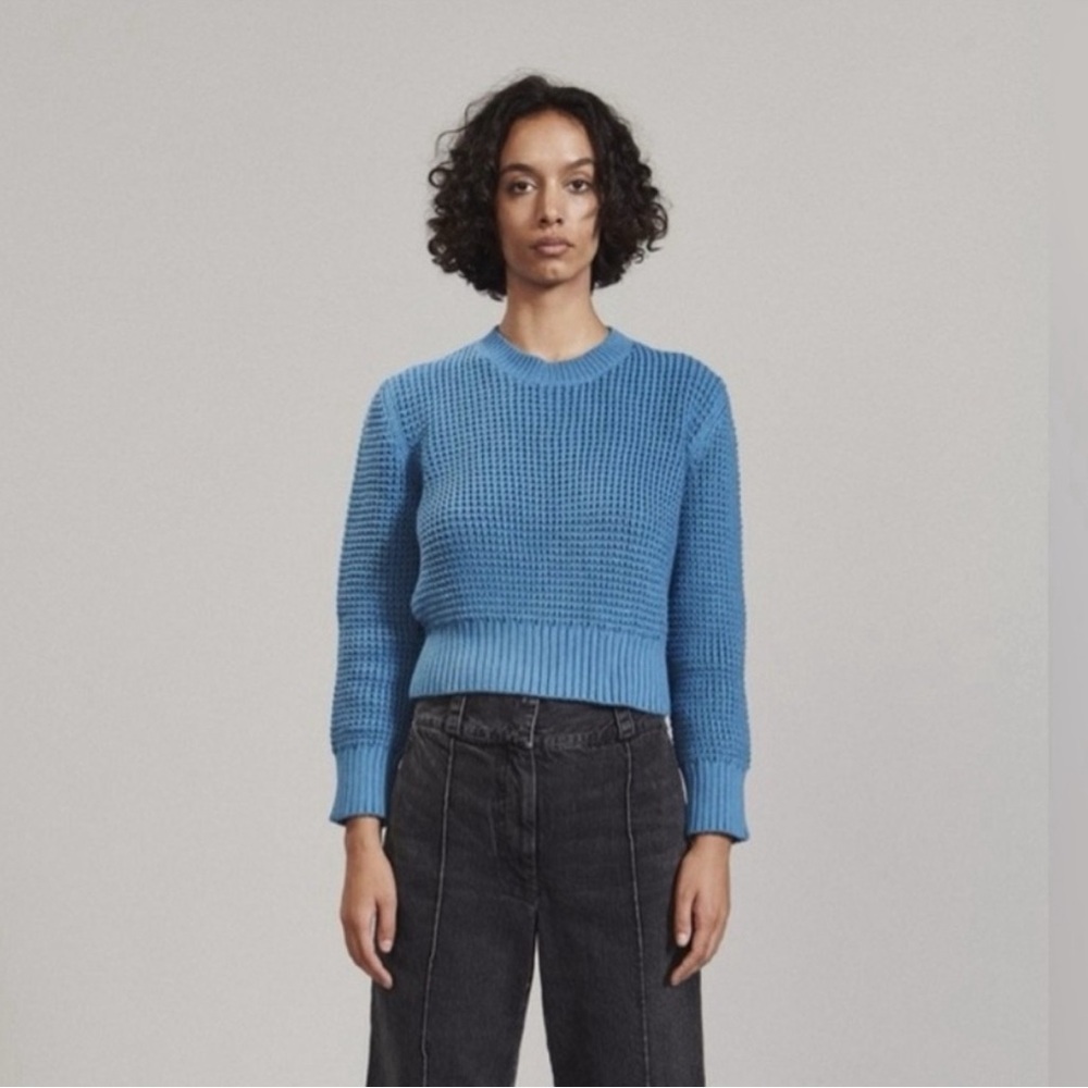 Rachel Comey Pima Cotton Sweater Knit in Peru - EUC